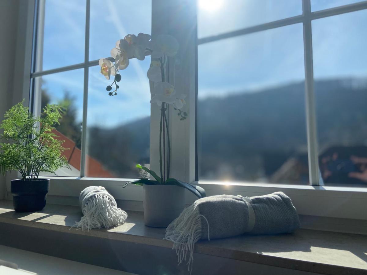 Ferienwohnung Westerwaldblick Haiger Екстериор снимка
